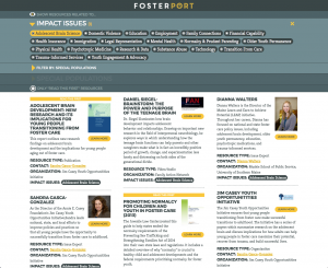 FosterPort desktop screenshot