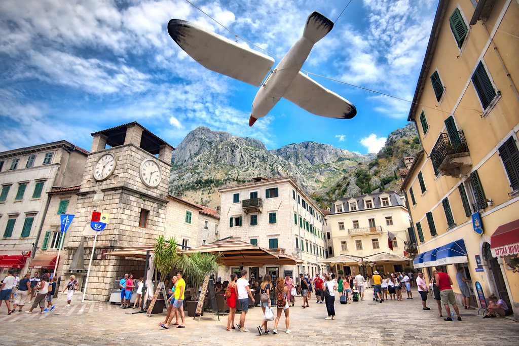 Bird & Clock in Kotor